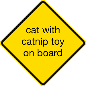 cat with catnip mouse on board