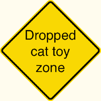 dropped cat-toy zone