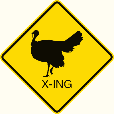 turkey crossing